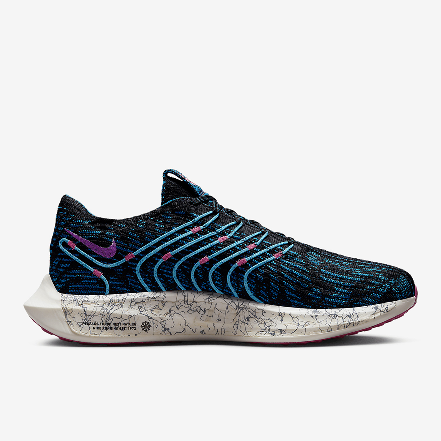 Nike Official Genuine Pegasus  - Men'S Shoes Next reseña y precio